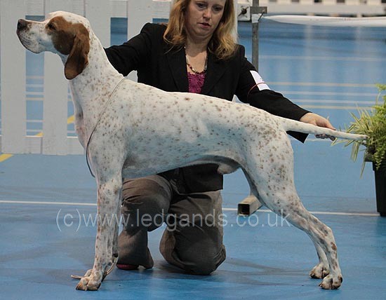 Image strictly copyright www.ledgands.co.uk. DO NOT ABUSE COPYRIGHT